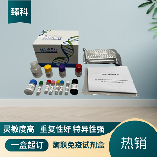 大鼠骨成型蛋白受体Ⅱ(BMPR-Ⅱ）ELISA试剂盒 ZK-5851