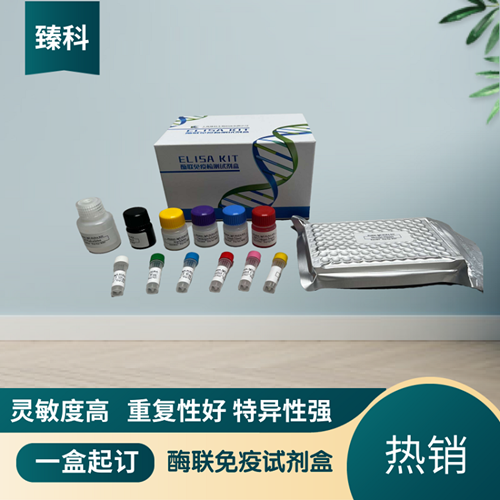 大鼠骨成型蛋白受体Ⅱ(BMPR-Ⅱ）ELISA试剂盒 ZK-5851