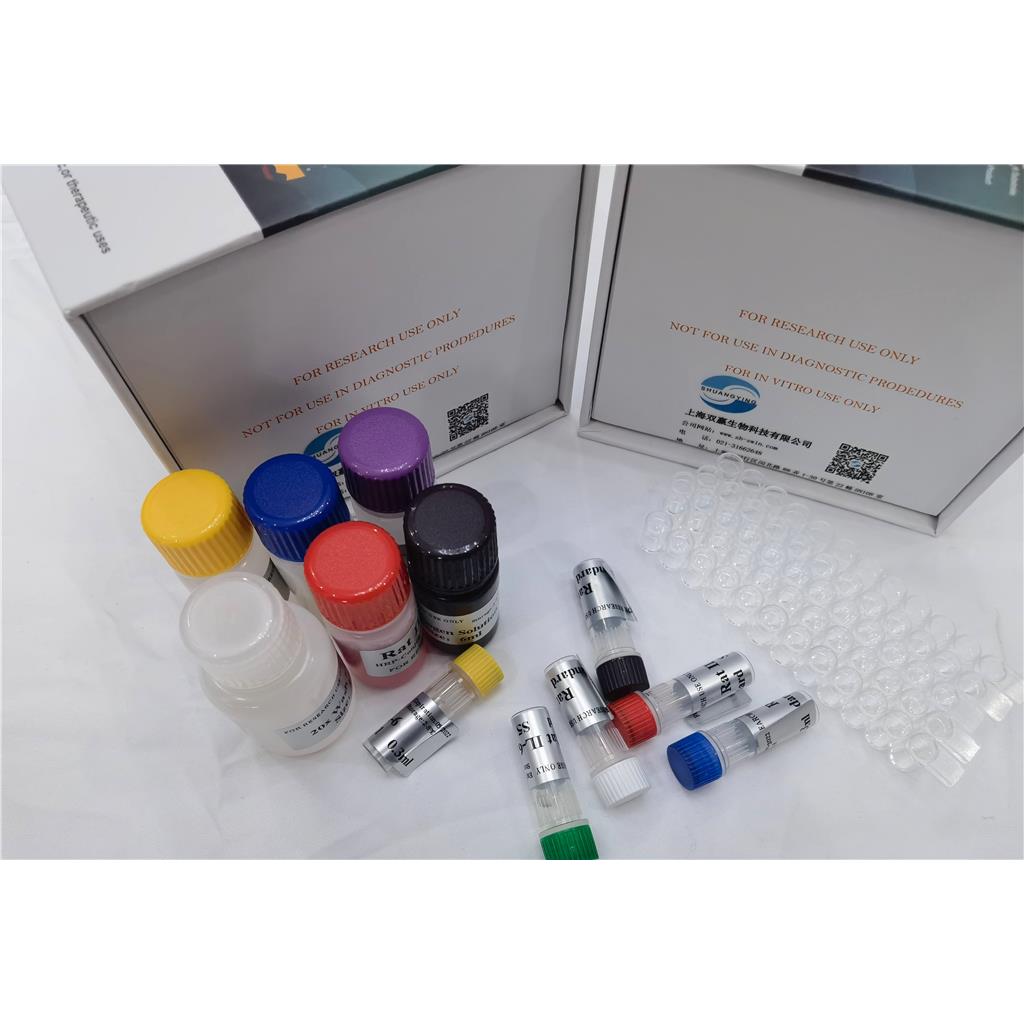 人C1q肿瘤坏死因子相关蛋白5(CTRP5)ELISA试剂盒