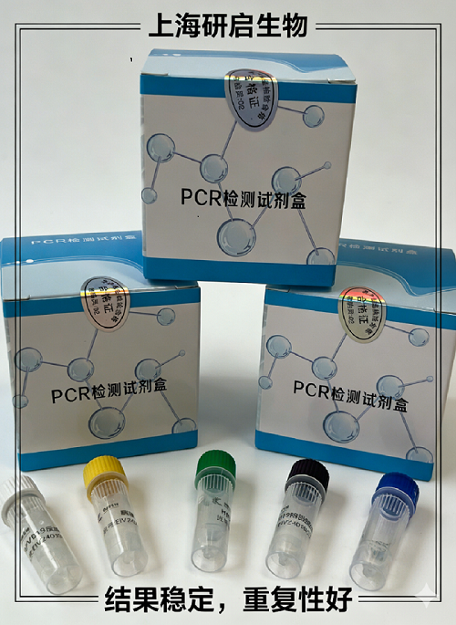 鼠疫杆菌(YP-3A)核酸检测试剂盒