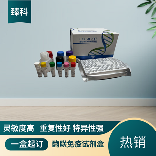 大鼠白介素28受体(IL-28R）ELISA试剂盒 ZK-5860