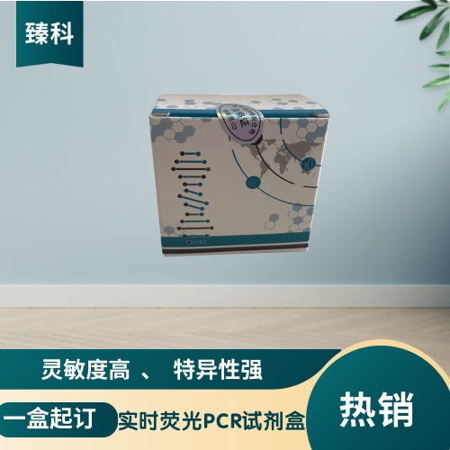 古典猪瘟病毒通用型核酸试剂盒（荧光PCR法）