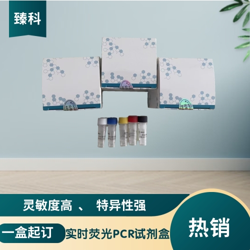 塞内卡谷病毒核酸试剂盒（荧光PCR法）