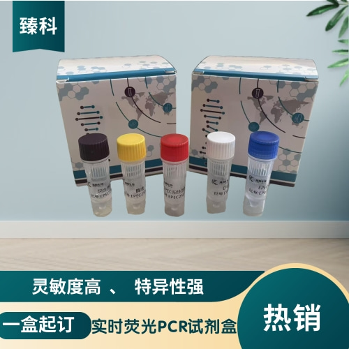 猪传染性胃肠炎病毒核酸试剂盒（荧光PCR法）