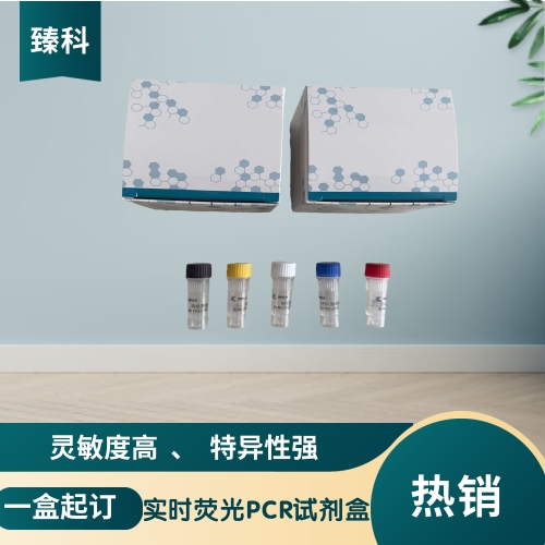 猪巨细胞病毒核酸试剂盒（荧光PCR法）