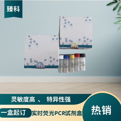 禽流感病毒N8亚型PCR试剂盒（荧光PCR法）