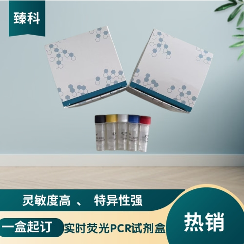 禽流感病毒N6亚型PCR试剂盒（荧光PCR法）