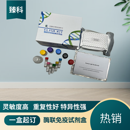 大鼠白介素1受体关联激酶2(IRAK2）ELISA试剂盒