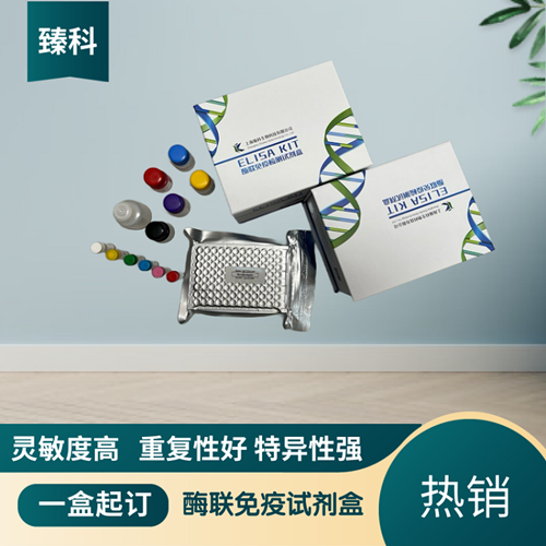 大鼠白介素18结合蛋白(IL-18BP）ELISA试剂盒