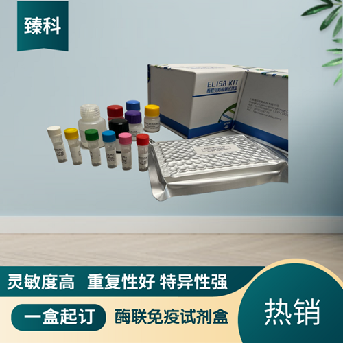 大鼠白介素15(IL-15）ELISA试剂盒