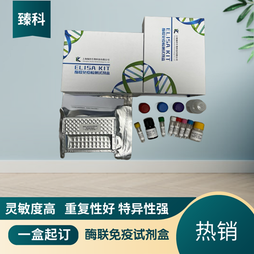 大鼠白介素15(IL-15）ELISA试剂盒