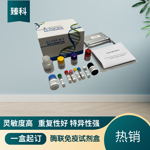 大鼠白介素13(IL-13）ELISA试剂盒