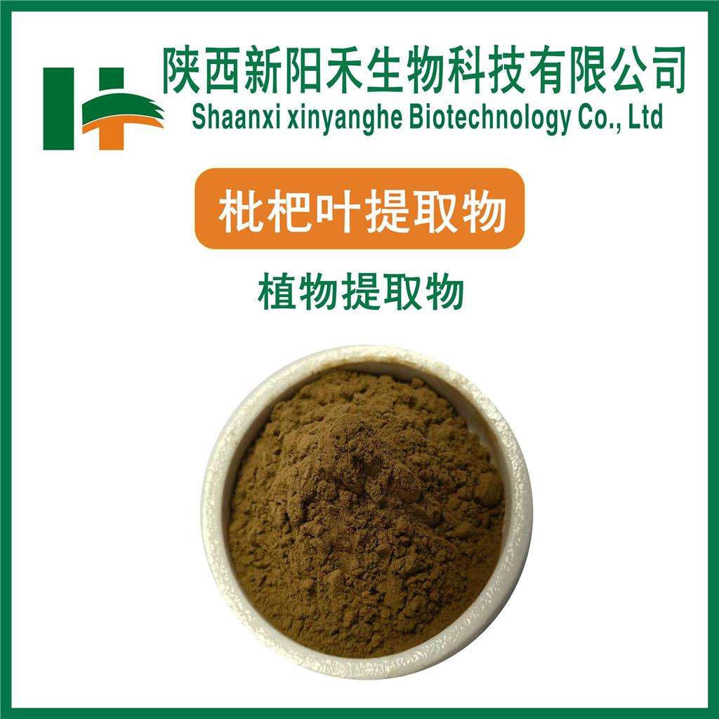 枇杷叶提取物  