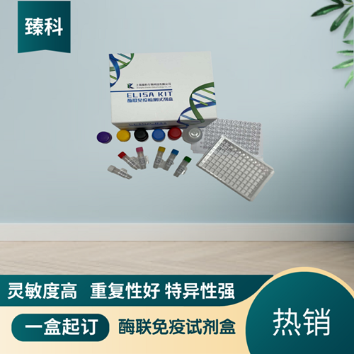 大鼠白介素11(IL-11）ELISA试剂盒ZK-5878