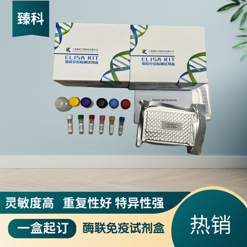 人增殖细胞核抗原抗体(PCNA）检测试剂盒（ELISA法）