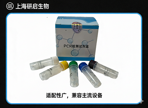 脑膜炎奈瑟菌W135群(NM-W135)核酸检测试剂盒