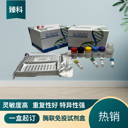 大鼠（Rat）β-内啡肽(βEP）ELISA试剂盒