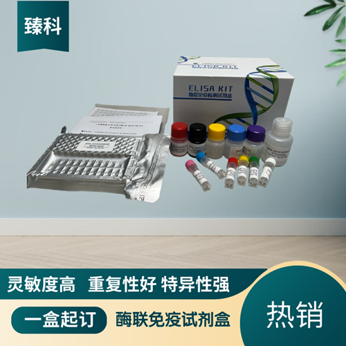 大鼠（Rat）α-骨胶原交联(αCTx）ELISA试剂盒