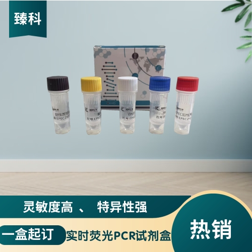 猫白血病核酸试剂盒（荧光PCR法）