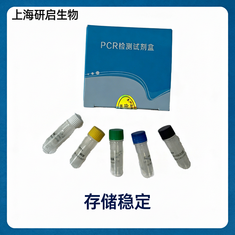 河弧菌(VF)核酸检测试剂盒