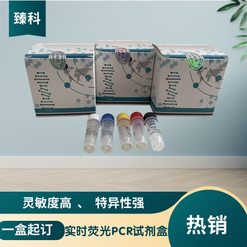嗜吞噬细胞无形体核酸试剂盒（荧光PCR法）