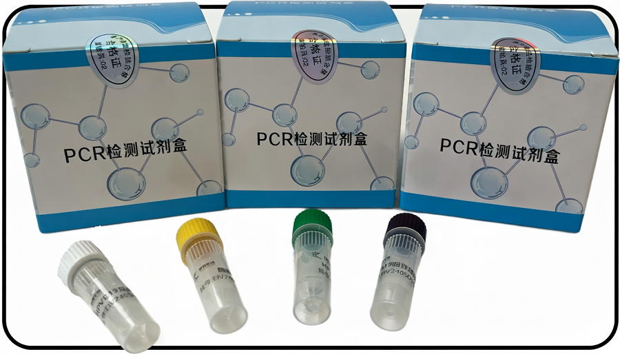 C型产气荚膜杆菌(CP-C)核酸检测试剂盒