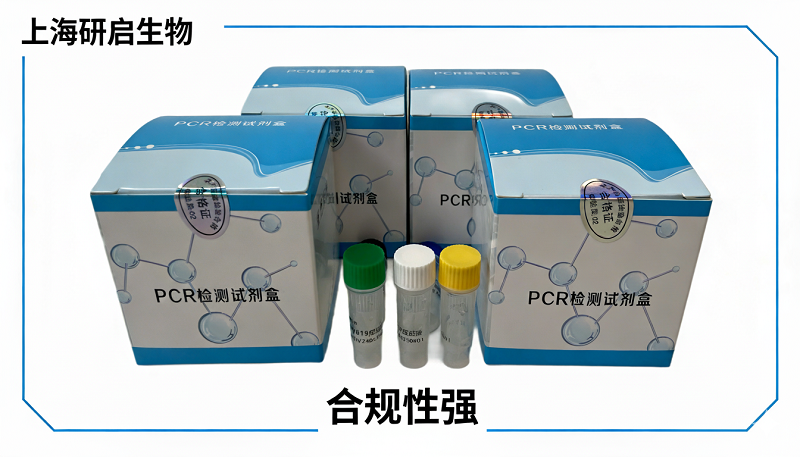肝胰腺细小病毒（HPV）核酸检测试剂盒