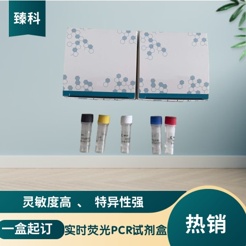 猫白血病核酸试剂盒（荧光PCR法）