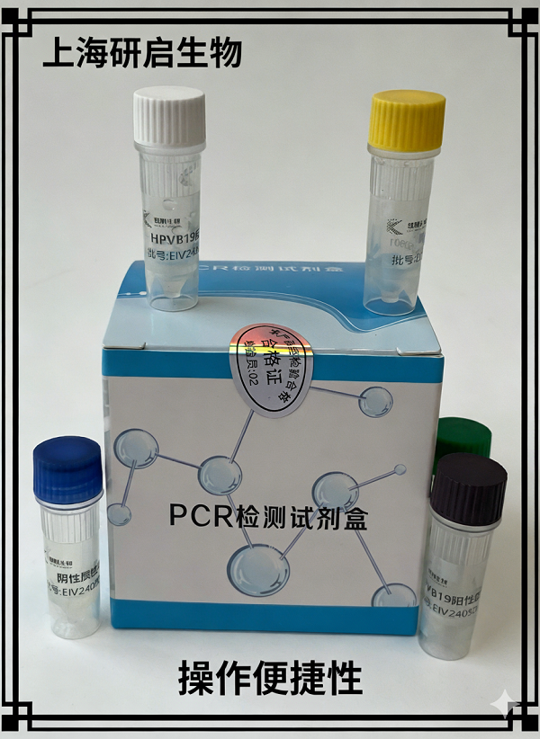 兔出血症病毒通用型(RHDV)核酸检测试剂盒