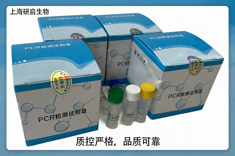 蓝舌病病毒(BTV)核酸检测试剂盒