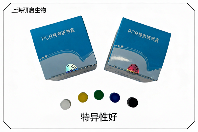 猫衣原体（CP）核酸检测试剂盒