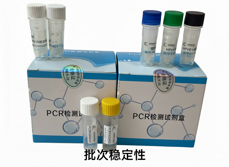 禽流感病毒N3亚型(AIV-N3)核酸检测试剂盒(荧光-PCR法)