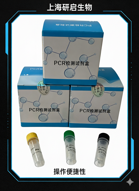 甲型流感病毒H1亚型(IAV-H1)核酸检测试剂盒(荧光-PCR法)