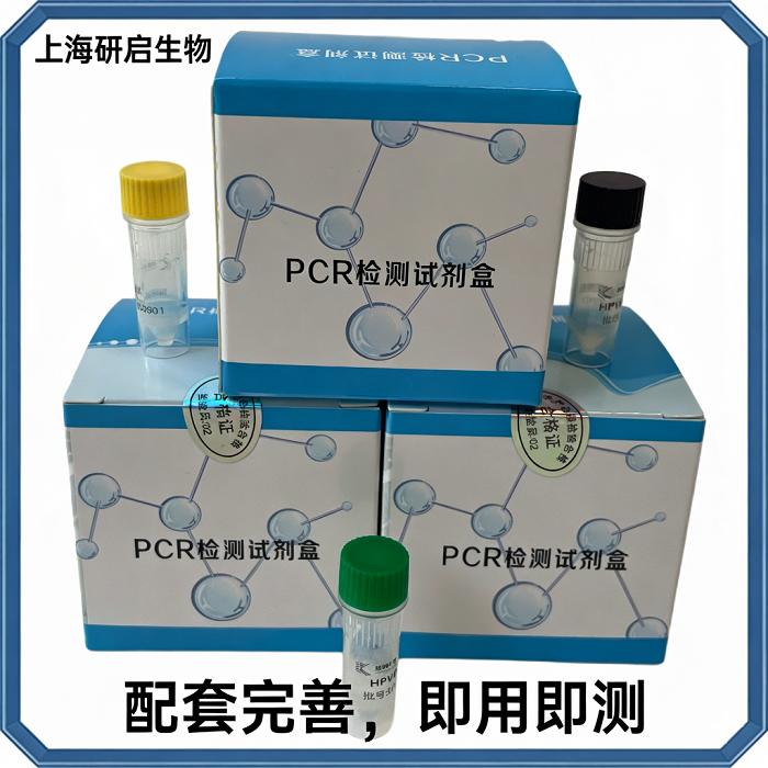 禽呼肠孤病毒(ARV)核酸检测试剂盒（荧光-PCR法）