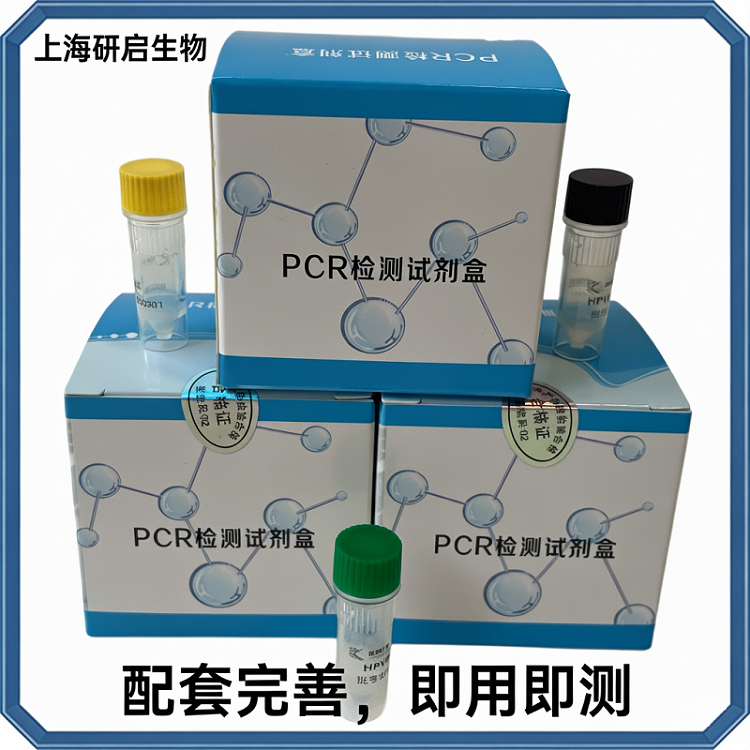 禽偏肺病毒（aMPV）核酸检测试剂盒(荧光-PCR法)