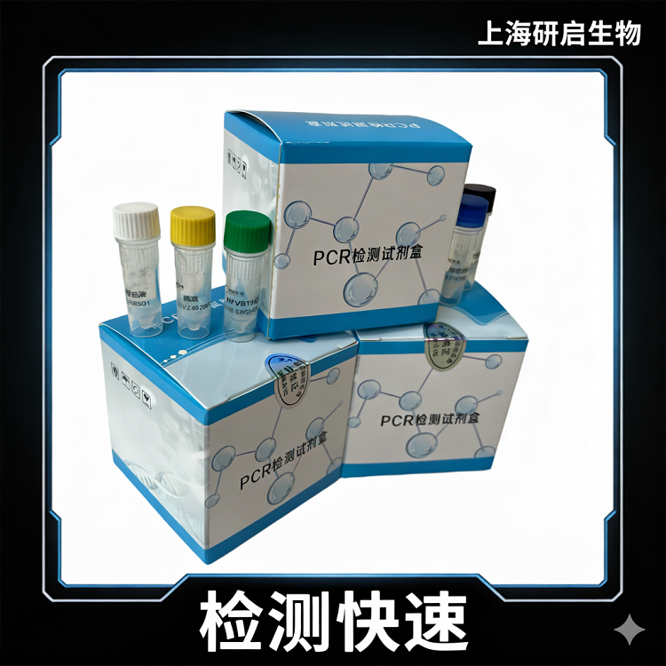 新城疫病毒(NDV)核酸检测试剂盒(荧光-PCR法)