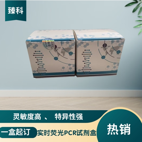 犬冠状病毒(CFCOV）核酸试剂盒(荧光-PCR法)