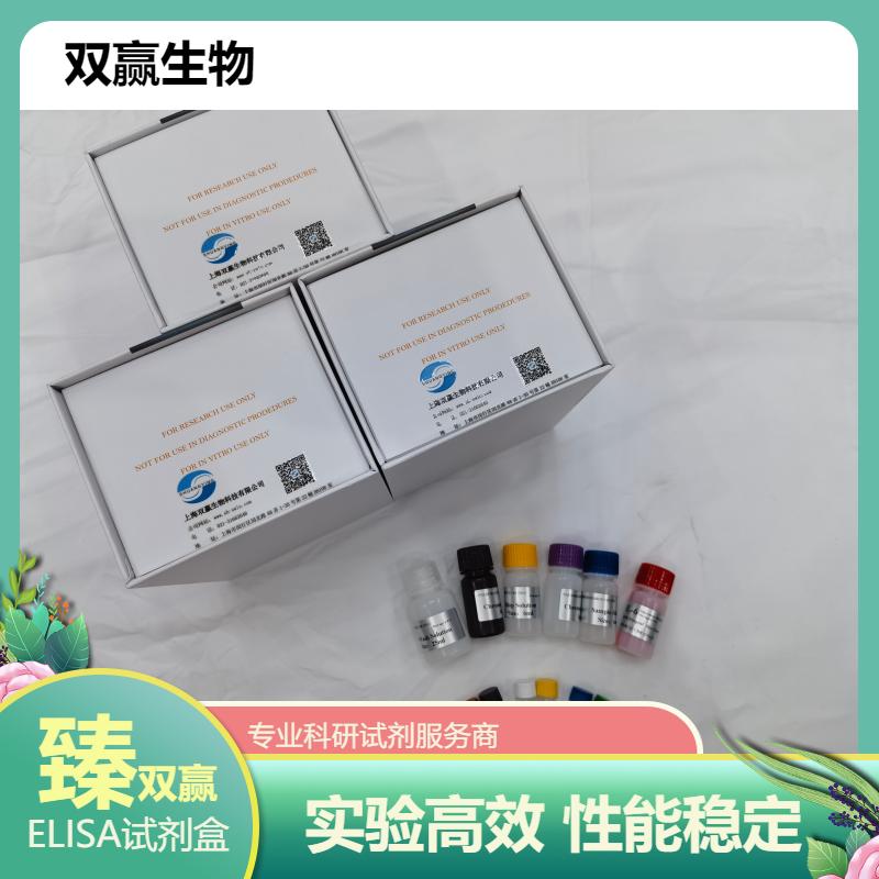 人抗精子抗体(As-Ab)ELISA试剂盒