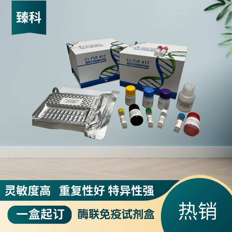 大鼠UDP葡萄糖醛酸转移酶2家族多肽B7(UGT2B7）ELISA试剂盒