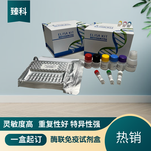 大鼠UDP葡萄糖醛酸转移酶2家族多肽B7(UGT2B7）ELISA试剂盒