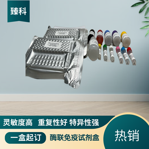 大鼠（Rat）Toll样受体6(TLR6）ELISA试剂盒