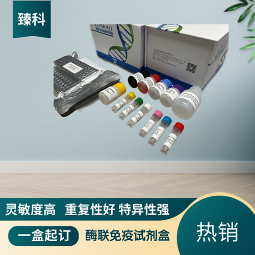 大鼠（Rat）Smoothelin蛋白(SMTN）ELISA试剂盒