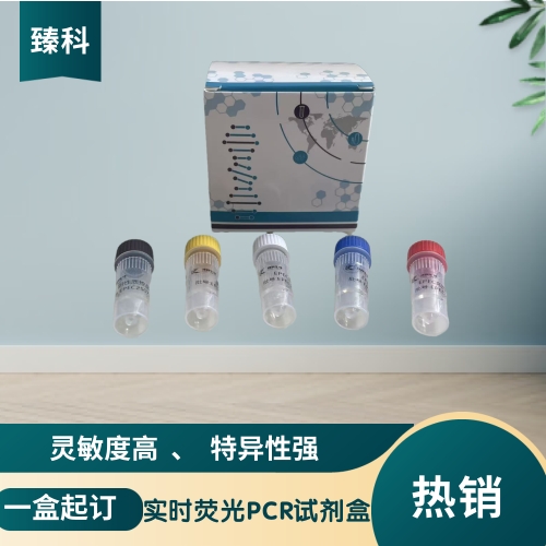 甲型流感病毒H2亚型(IAV-H2)核酸试剂盒（荧光PCR法）