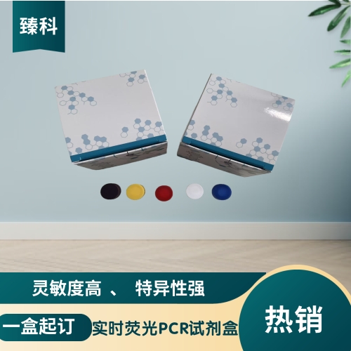 甲型流感病毒H10亚型(IAV-H10)核酸试剂盒（荧光PCR法）