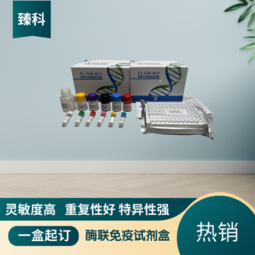 大鼠（Rat）Smad同源物3(Smad3）ELISA试剂盒