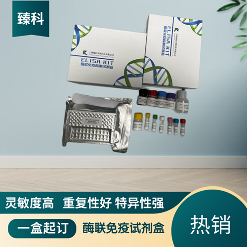 大鼠（Rat）Slit同源物1(Slit1）ELISA试剂盒
