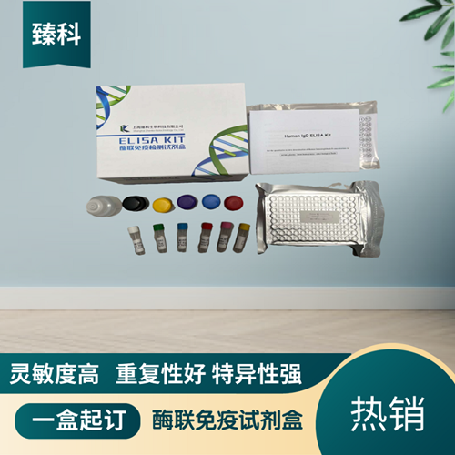 大鼠（Rat）S100钙结合蛋白A6(S100A6）ELISA试剂盒