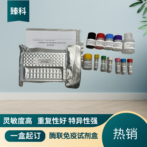 大鼠（Rat）L1-细胞粘附分子(L1CAM）ELISA试剂盒