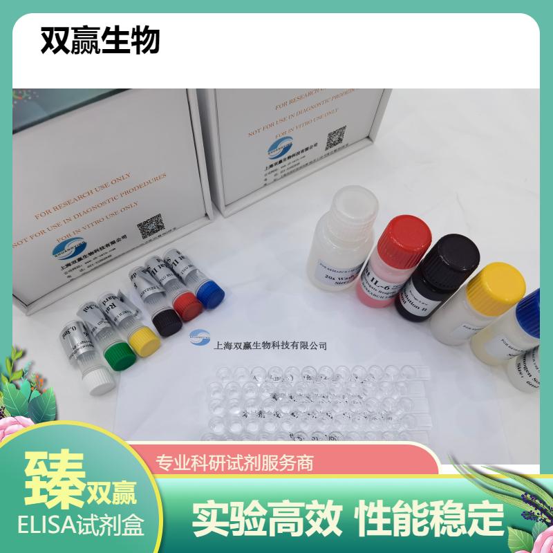 人蛋白酪氨酸磷酸酶(PTPs)ELISA试剂盒