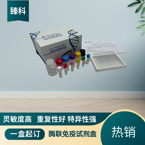 大鼠（Rat）CD30配体(CD30L）ELISA试剂盒